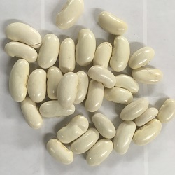 White Lady Runner Bean Seeds